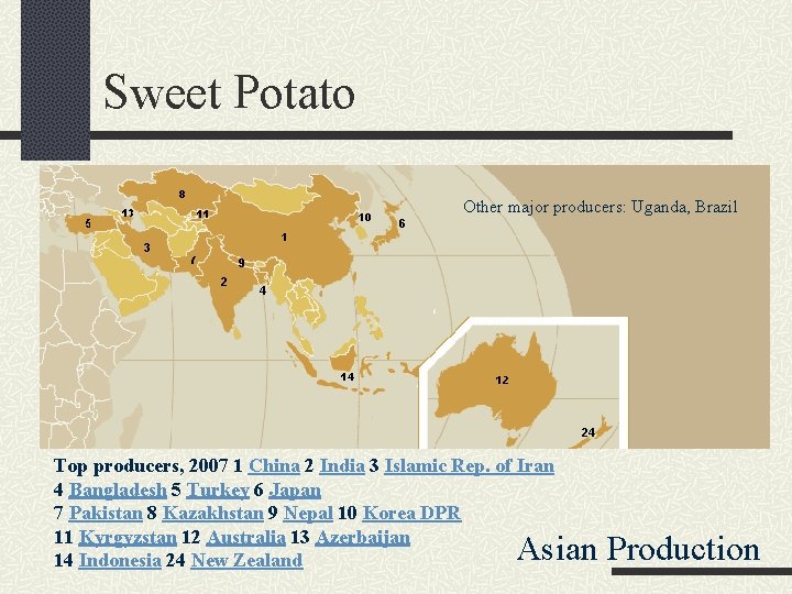 Sweet Potato Other major producers: Uganda, Brazil Top producers, 2007 1 China 2 India