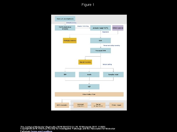 Figure 1 The Journal of Molecular Diagnostics 2018 204 -27 DOI: (10. 1016/j. jmoldx.