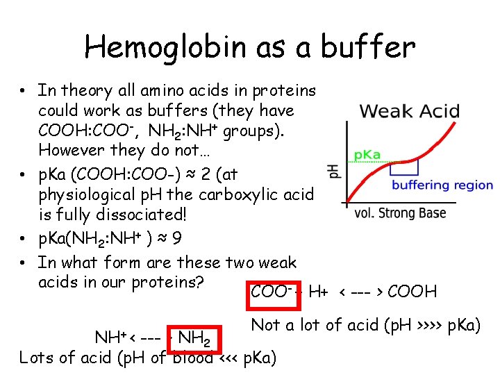 Hemoglobin as a buffer • In theory all amino acids in proteins could work