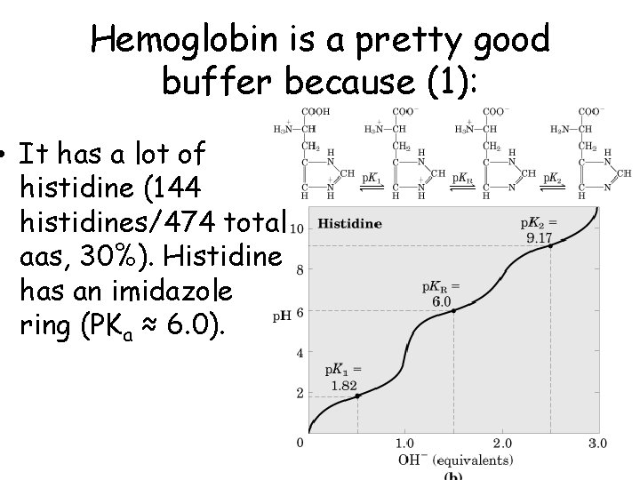 Hemoglobin is a pretty good buffer because (1): • It has a lot of