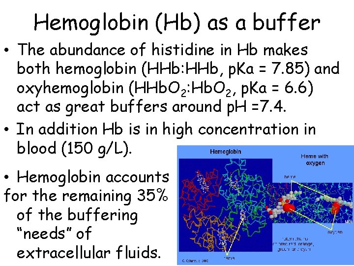 Hemoglobin (Hb) as a buffer • The abundance of histidine in Hb makes both