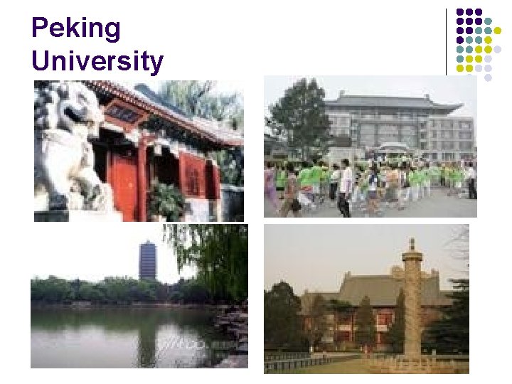 Peking University 