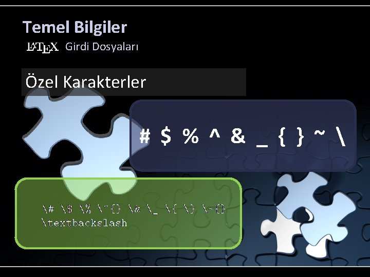 Temel Bilgiler Girdi Dosyaları Özel Karakterler # $ % ^ & _ { }