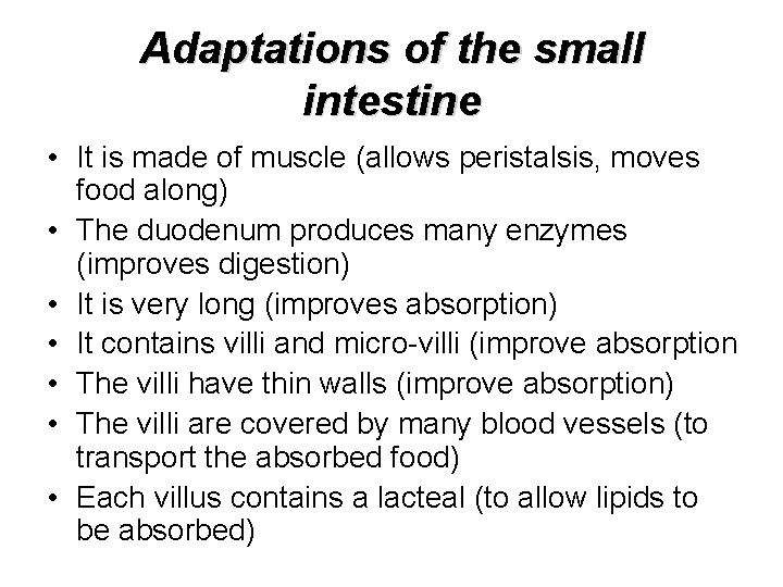 Adaptations of the small intestine • It is made of muscle (allows peristalsis, moves