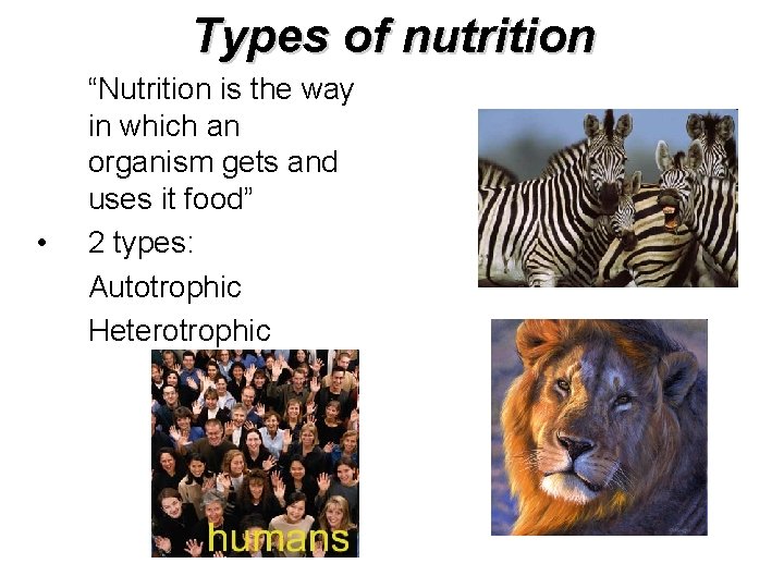 Types of nutrition • “Nutrition is the way in which an organism gets and