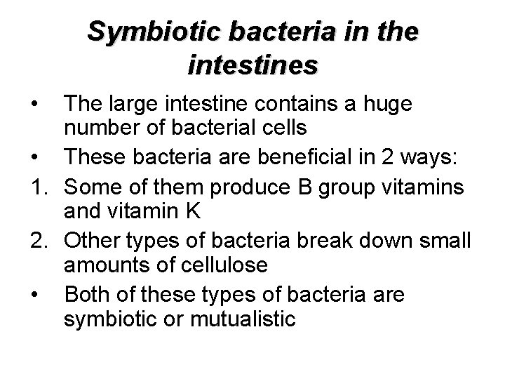 Symbiotic bacteria in the intestines • The large intestine contains a huge number of