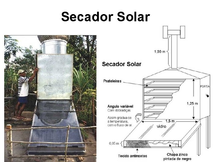 Secador Solar 