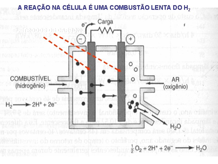 A REAÇÃO NA CÉLULA É UMA COMBUSTÃO LENTA DO H 2 ELETRODOS DE CARBONO