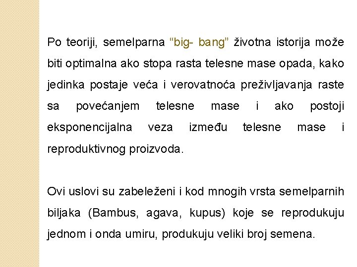 Po teoriji, semelparna “big- bang” životna istorija može biti optimalna ako stopa rasta telesne