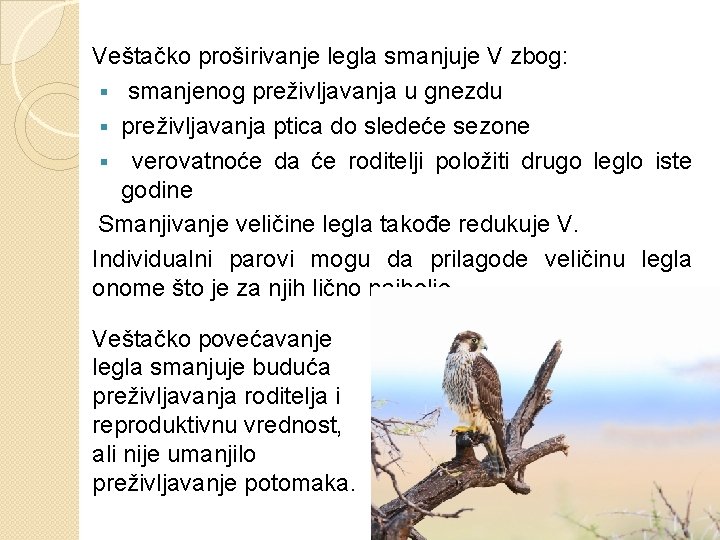 Veštačko proširivanje legla smanjuje V zbog: § smanjenog preživljavanja u gnezdu § preživljavanja ptica