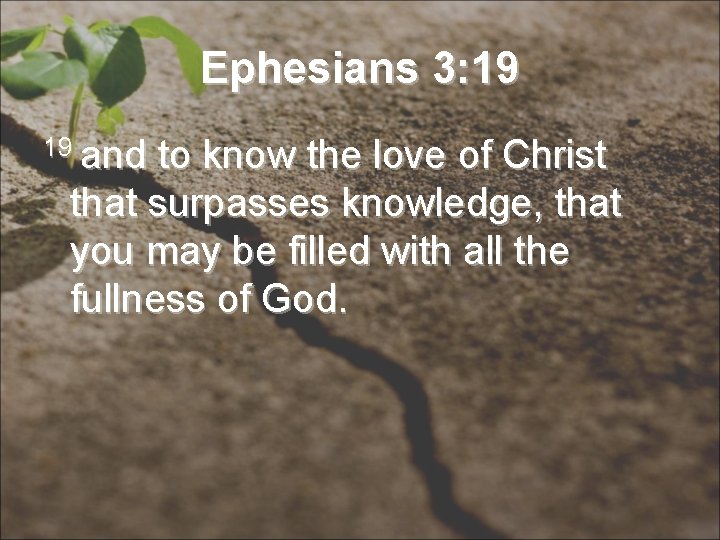 Ephesians 3: 19 19 and to know the love of Christ that surpasses knowledge,