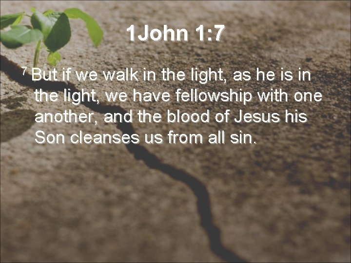 1 John 1: 7 7 But if we walk in the light, as he