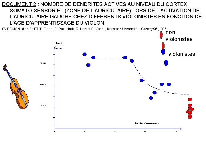 DOCUMENT 2 : NOMBRE DE DENDRITES ACTIVES AU NIVEAU DU CORTEX SOMATO-SENSORIEL (ZONE DE