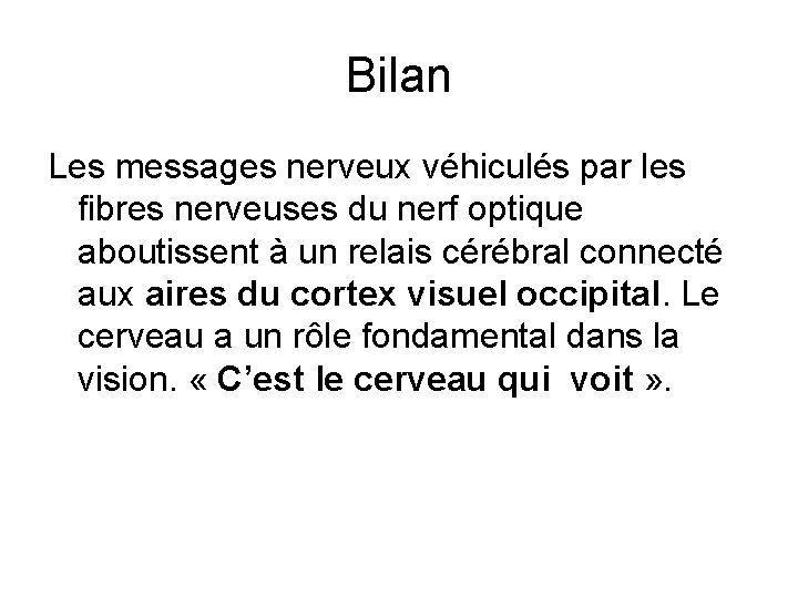 Bilan Les messages nerveux véhiculés par les fibres nerveuses du nerf optique aboutissent à