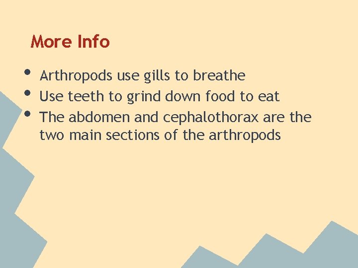 More Info • • • Arthropods use gills to breathe Use teeth to grind