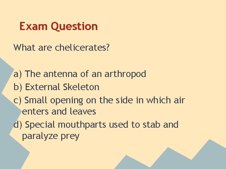 Exam Question What are chelicerates? a) The antenna of an arthropod b) External Skeleton