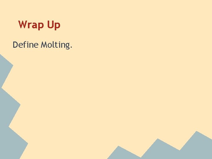 Wrap Up Define Molting. 