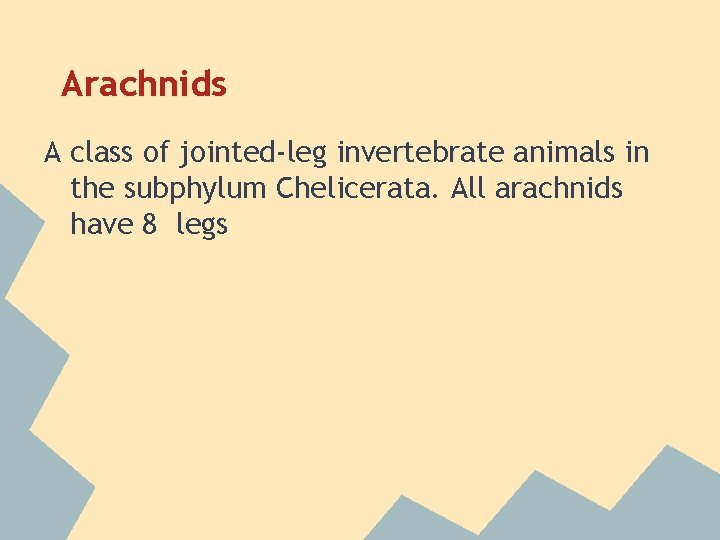 Arachnids A class of jointed-leg invertebrate animals in the subphylum Chelicerata. All arachnids have