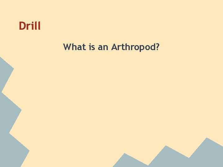 Drill What is an Arthropod? 