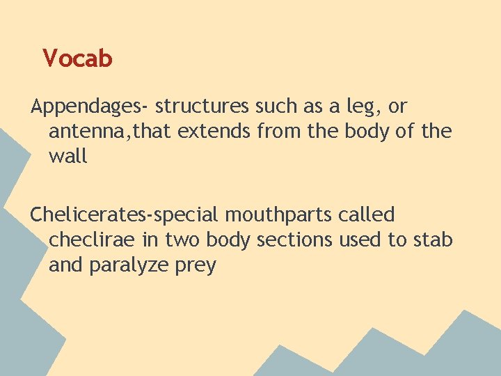 Vocab Appendages- structures such as a leg, or antenna, that extends from the body