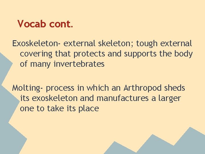 Vocab cont. Exoskeleton- external skeleton; tough external covering that protects and supports the body