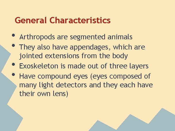 General Characteristics • • Arthropods are segmented animals They also have appendages, which are
