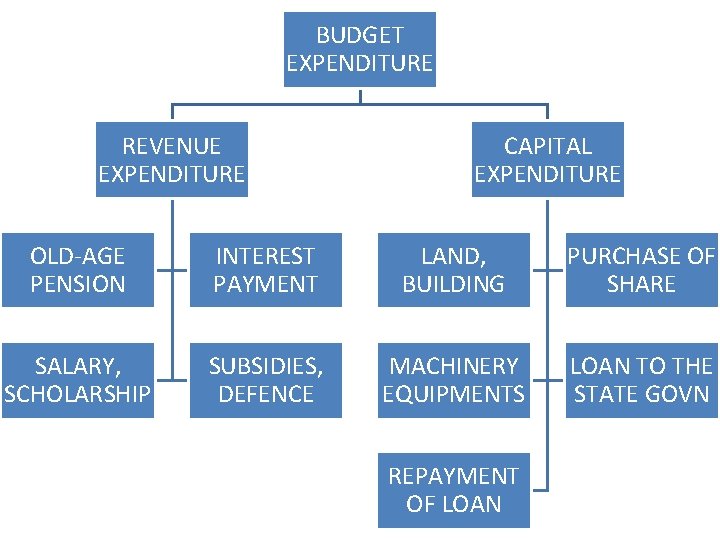 BUDGET EXPENDITURE REVENUE EXPENDITURE CAPITAL EXPENDITURE OLD-AGE PENSION INTEREST PAYMENT LAND, BUILDING PURCHASE OF