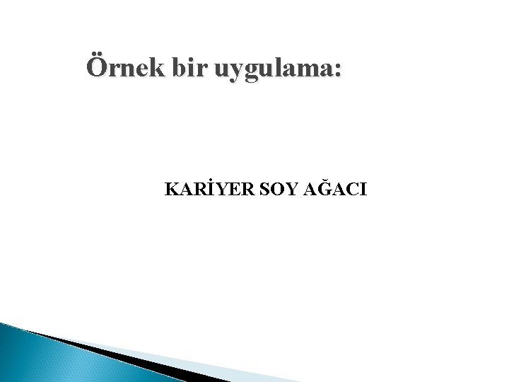 Örnek bir uygulama: KARİYER SOY AĞACI 