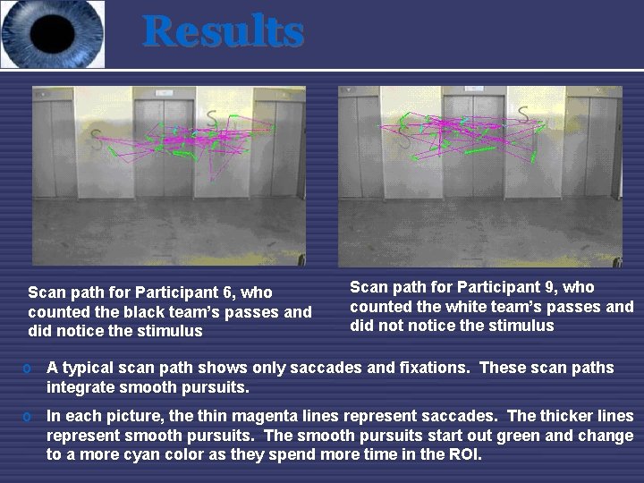 Results Scan path for Participant 6, who counted the black team’s passes and did