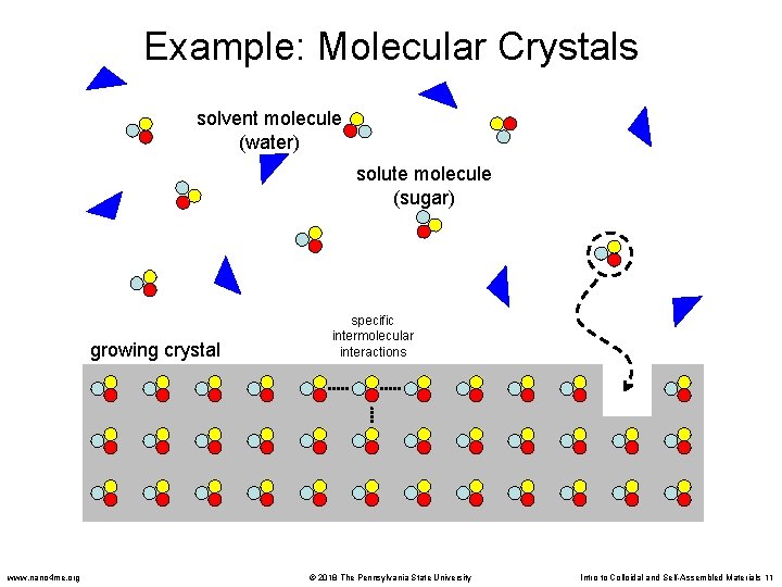 Example: Molecular Crystals solvent molecule (water) solute molecule (sugar) growing crystal www. nano 4