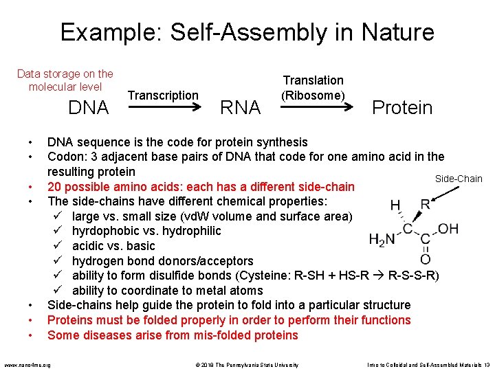 Example: Self-Assembly in Nature Data storage on the molecular level DNA • • Transcription