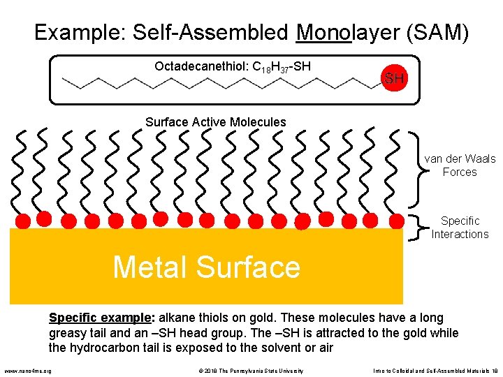 Example: Self-Assembled Monolayer (SAM) Octadecanethiol: C 18 H 37 -SH Surface Active Molecules van