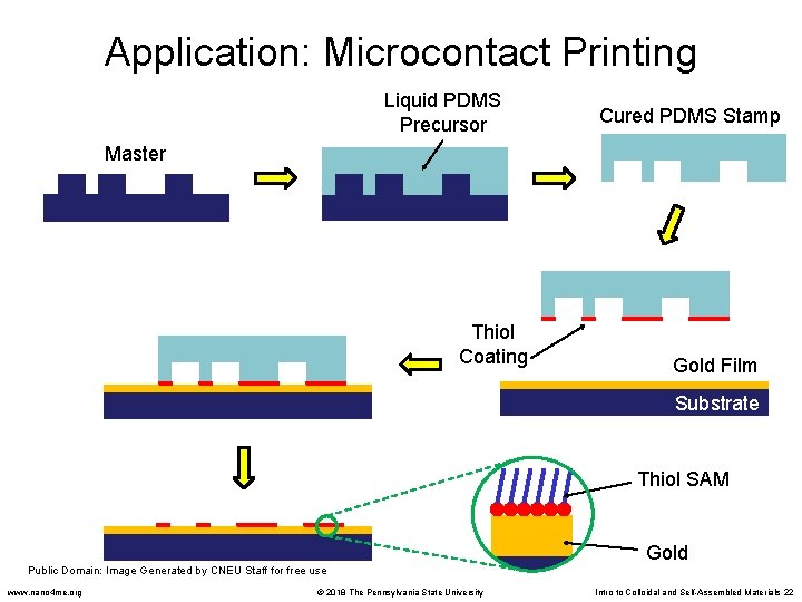 Application: Microcontact Printing Liquid PDMS Precursor Cured PDMS Stamp Master Thiol Coating Gold Film