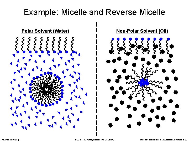 Example: Micelle and Reverse Micelle Polar Solvent (Water) www. nano 4 me. org Non-Polar