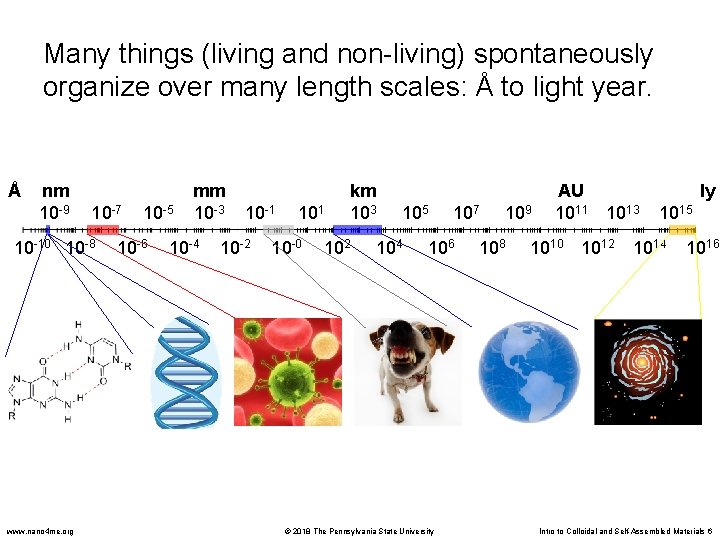 Many things (living and non-living) spontaneously organize over many length scales: Å to light