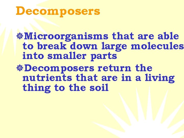 Decomposers ]Microorganisms that are able to break down large molecules into smaller parts ]Decomposers