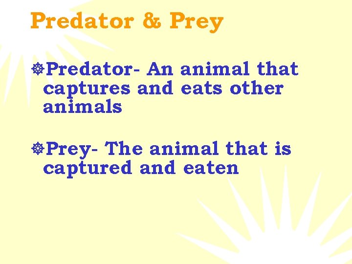 Predator & Prey ]Predator- An animal that captures and eats other animals ]Prey- The