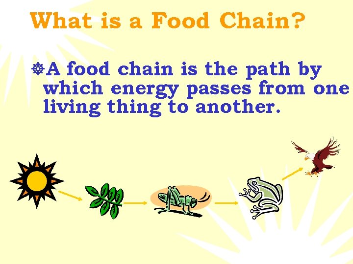 What is a Food Chain? ]A food chain is the path by which energy