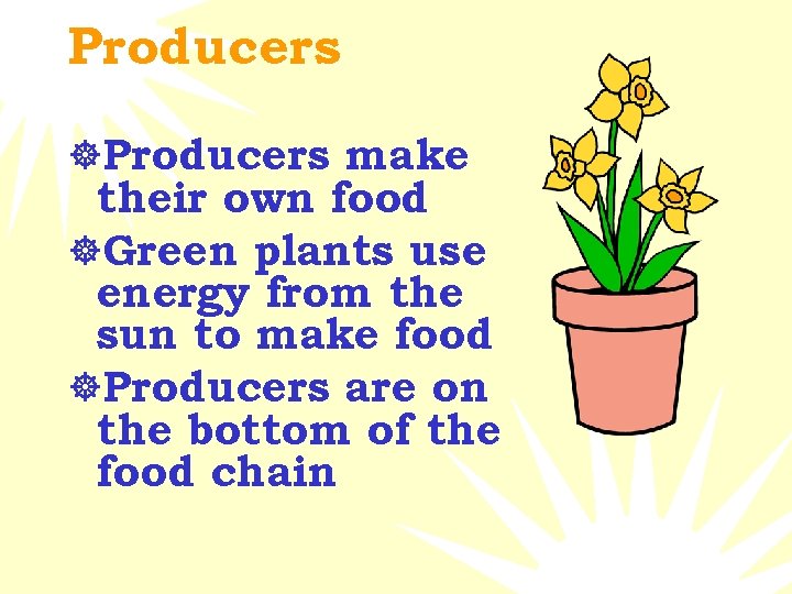 Producers ]Producers make their own food ]Green plants use energy from the sun to