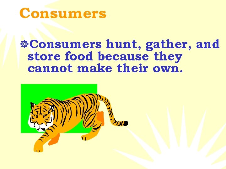 Consumers ]Consumers hunt, gather, and store food because they cannot make their own. 