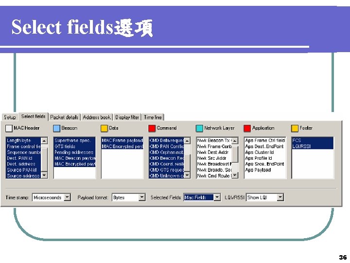 Select fields選項 36 