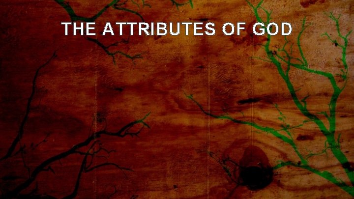 THE ATTRIBUTES OF GOD 