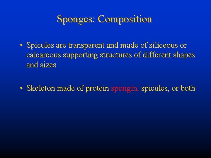 Sponges: Composition • Spicules are transparent and made of siliceous or calcareous supporting structures