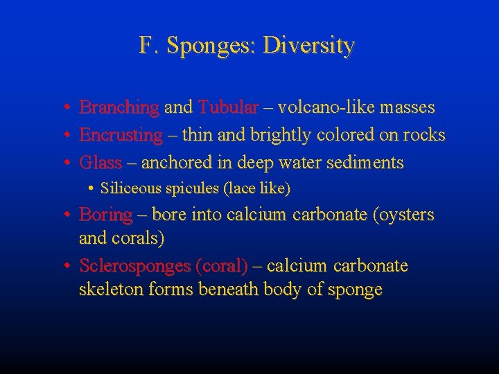 F. Sponges: Diversity • • • Branching and Tubular – volcano-like masses Encrusting –