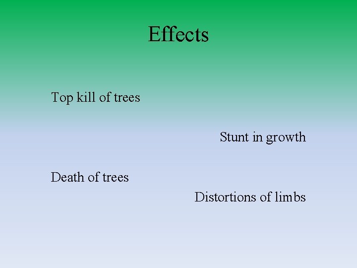 Effects Top kill of trees Stunt in growth Death of trees Distortions of limbs