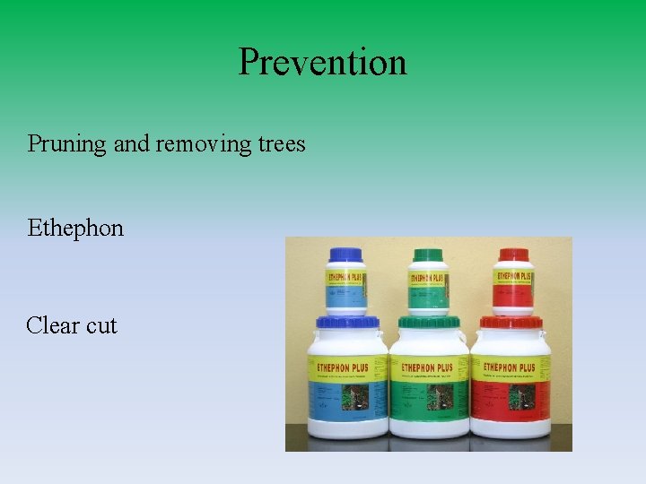 Prevention Pruning and removing trees Ethephon Clear cut 