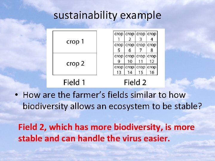 sustainability example • How are the farmer’s fields similar to how biodiversity allows an