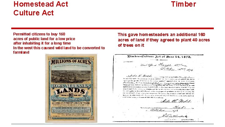 Homestead Act Culture Act Permitted citizens to buy 160 acres of public land for