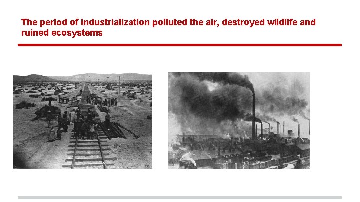 The period of industrialization polluted the air, destroyed wildlife and ruined ecosystems 