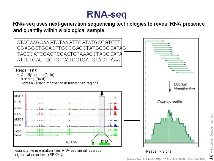 RNA-seq uses next-generation sequencing technologies to reveal RNA presence and quantity within a biological